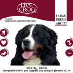 LBA-CROQ Large breed adult